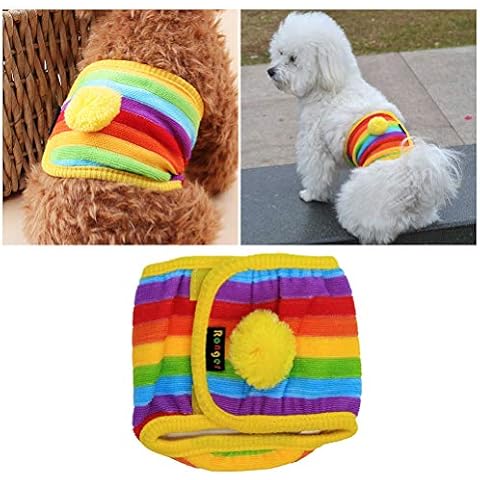 Balacoo Pañal para Perro Macho Rainbow Cover