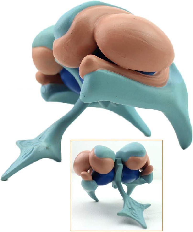 Basal Nucleus Model - Model of Ventricle And Basal Nucleus ofbrain Basal Nucleus Magnification Model - Basal Nucleus Model Human Anatomy Cerebral Model of Caudate Nucleus