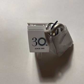 Amazon.co.jp: 便器 TOTO ネオレスト NEOREST 30周年 LEDライト