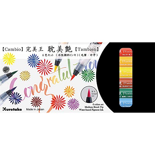 Amazon | 呉竹(Kuretake) 筆ペン カラー筆ペン 水彩毛筆 完美王