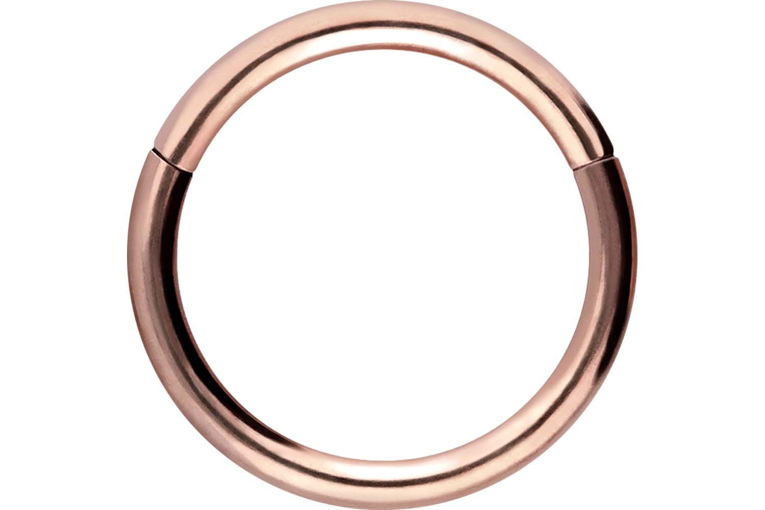 PIERCINGLINE Anillo segmento Clicker de acero quirúrgico – Piercing en oro, plata, rosa, negro o azul – para nariz, tabique, oreja, hélice o tragus — view 54