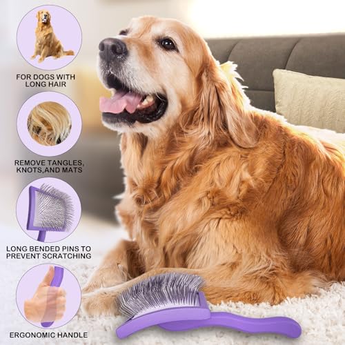 Dog-Slicker-Brush-for-Goldendoodles-Golden-Doodle-Brush-for-Grooming-Kit-Dog-Brush-for-Goldendoodle-Labradoodle-Poodles-Pet-Hair-Brush-for-Medium-Long-Haired-Dogs-Large-Purple Dog Slicker Brush for Goldendoodles Golden Doodle Brush for Grooming Kit Dog Brush for Goldendoodle Labradoodle Poodles Pet Hair Brush for Medium Long Haired Dogs Large Purple