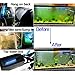 Aquarium 3W UV Water Clean Light Green Alage Clear 3inch Submersible Fish Tank UVC Light for Fish Tank Sump Pump Swim Pool