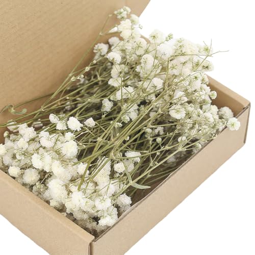 UIEXAY 100 Pezzi Gypsophila Essiccata Bianchi Fiori Secchi per Decorazioni