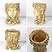 FOVERN1 Goddess Head Design Succulents Flower Pot, Lady Face Planter Pots with Drainage Hole, Head Planter Pot Succulent Planter Resin Planter for Indoor/Outdoor Plants Home and Garde (Gold)