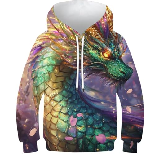 Sweat-shirt à capuche 3D enfant pour le collège style dragon