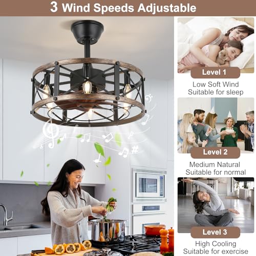 Aihonkon ASIN 18.5''Ceiling Fans With Lights And Bluetooth Speaker,3 Speed,Reversible Motor,Industrial Small Caged Fandelier Bladeless Ceiling Fans,Enclosed Ceiling Fan thumb #4