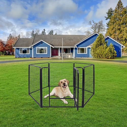AufuN 6-TLG Welpenauslauf faltbares Freilaufgehege Tierlaufstall 80cm hoch, Automatische Verriegelung, Laufgitter Welpenlaufstall mit Tür für Hunde, Kaninchen, Kleintiere, Katze