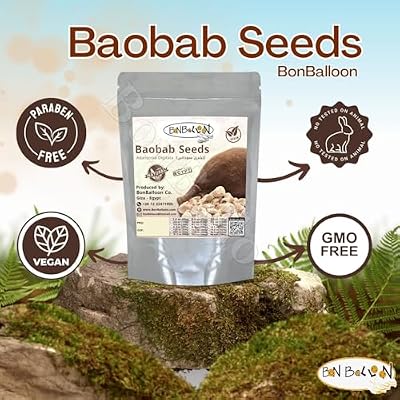 Baobab Seeds Natural Dried Seed Tabaldi Juice Drink Dry Herbs Pure Herbal Egypt Arab Herb Egyptian Rich Premium No Additives Non Gmo Kosher Halal ( 1 Pack  4.41 oz / 125 gm )
