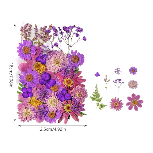 Flores secas prensadas 35 piezas para manualidades miniatura 2