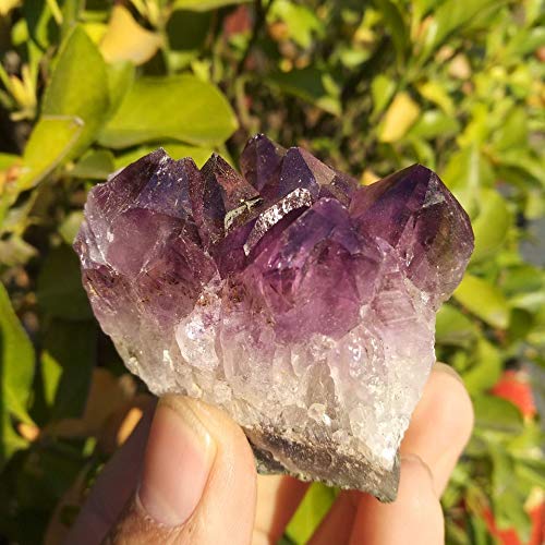 Espécimen de racimo de Amatista de Cuarzo de Cristal de geoda de Amatista Natural de Uruguay Inicio Colecciones