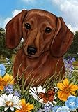 Best of Breed Dachshund Summer Flowers Garden Flags