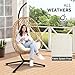 LEX CRAFT Egg Chair with Stand, Patio Wicker Hanging Chair, Hammock Swing Chair, 350LBS Capacity for Bedroom, Balcony, Garden (YE-BE)