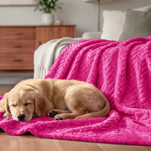 Image of Exclusivo Mezcla Fleece Throw Blanket for Couch Sofa, 50 inchx70 inch, Hot Pink