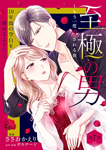 至極の男～もう一度愛される夜［comic tint] 分冊版（7）