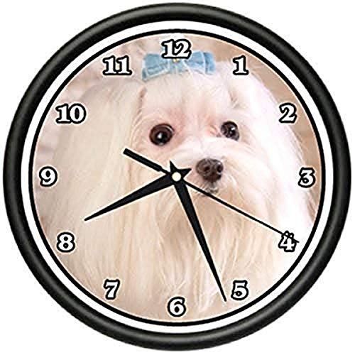 SignMission Beagle Maltese Wall Clock Dog Doggie pet Breed Gift