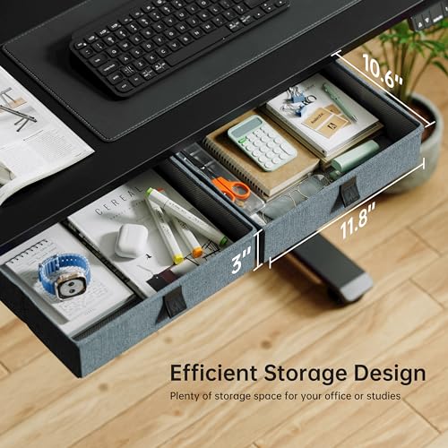 Image of Agilestic Electric Standing Desk with Drawers, 55 x 24 Inches Height Adjustable Desk, Stand up Computer Table with Memory Preset, for Work Office Home, Black