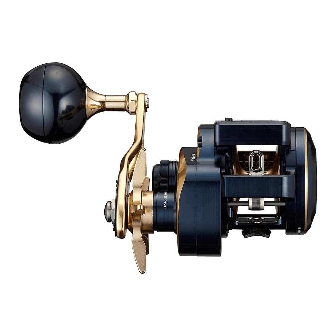 Daiwa 21 Saltiga IC 300 : Amazon.com.br: Esporte