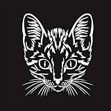 Black Premium. Katzen. Ausmalen, Aufhängen, Verschenken.: Ausmalen, Aufhängen, Verschenken.