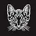 Black Premium. Katzen. Ausmalen, Aufhängen, Verschenken.: Ausmalen, Aufhängen, Verschenken.