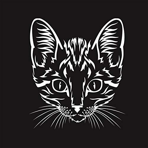 Black Premium. Katzen. Ausmalen, Aufhängen, Verschenken.: Ausmalen, Aufhängen, Verschenken.