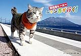野良猫ヒーロー ニャン吉が行く! かぎしっぽのアイドル猫「ニャン吉」感動の写真集