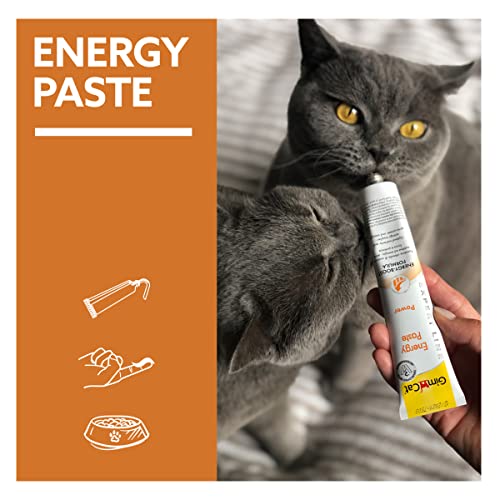 GimCat EXPERT LINE Energy Paste - Funktionaler Katzensnack als optimaler Nährstoff- und Energielieferant - 1 Tube (1 x 50 g)