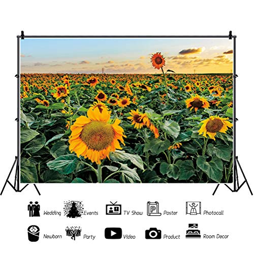 OERJU 15x10ft Sunflower Field Backdrop White Clouds Photography Background Baby Shower Banners Kids Birthday Party Rustic