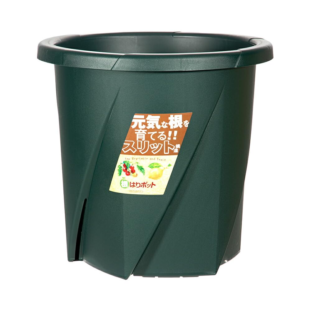Amazon.co.jp: 大和プラスチック スリット鉢 根はりポット 30型 ダーク