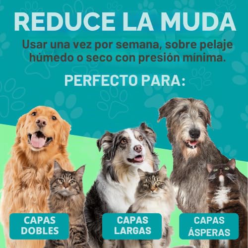 Cepillo de aseo Maxpower Planet para mantener tu sofá libre de pelos de mascotas 4