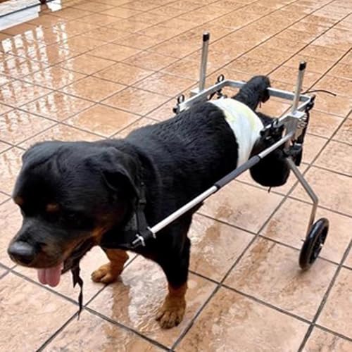 Arnés protector para el pecho de perros y soporte para cochecito 5