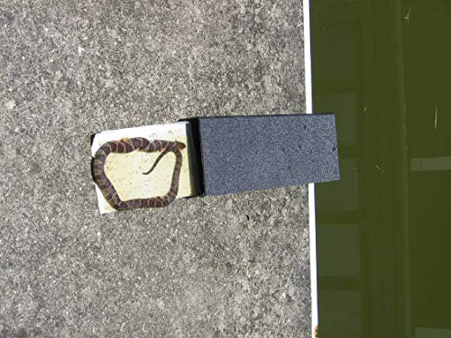 (.1 Pk) Snake Trap Small with 4 Catch Inserts / Reusable, Made in USA (.1 Pk) Snake Trap Small with 4 Catch Inserts / Reusable, Made in USA