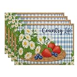 Country Life Platzsets mit Gänseblümchen, blaues Gingham-Muster, rustikale Tischmatten für Essen, Sommer-Picknick, rutschfest, waschbar, für drinnen und draußen, dekoratives Tischset, 4 Stück