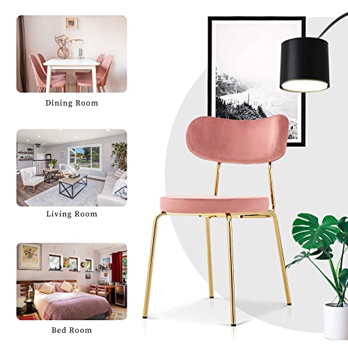 Ivinta Dining Chair Set Of 4, Modern Pink Velvet Chairs With Golden Legs, Mid Century Side Chairs For Dining Room, Living Room, Bedroom, Kitchen, Armless Vanity Accent Chair For Small Space #TOP4