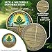10 Months Sobriety Coin | AA Chip with Tree Sapling Rooting Design, Bronze Monthly Milestone Recovery Medallion with Token Capsule, Inspirational Sobriety Gift for Men and Women