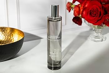 Amazon.com: St. Regis Hotels Room Spray - Caroline's Four Hundred
