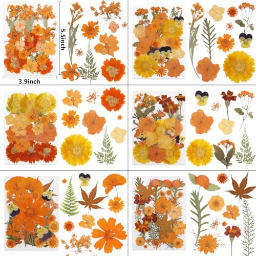 Image of NESCCI 350 Pcs Orange Fall Dried Flowers for Crafts,Real Nature Dried Flowers for Craft Bulk Dry Flowers Leaves Kit Used for Resin Molds Scrapbooking DIY Art Crafts Candle Soap Making Nails Decor