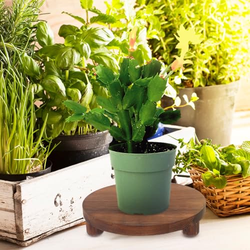 Support plantes bois marron rustique au design durable et authentique