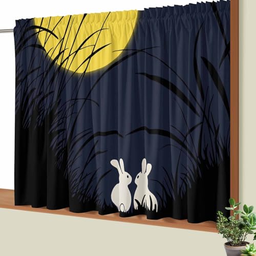 Tuyouixinnen JtFJ[e p J[e fM ՔM ډB  k Ԏd؂ iX  ʏ  a   F Lb`  O猩ɂ 100×70cm