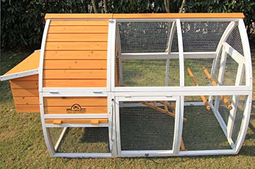 Pets Imperial® Dorchester Hühnerstall - Arche Geflügel-Nistkasten - Hühnerhaus mit Schiebetablett und zu öffnendem Dach… – Bild 4