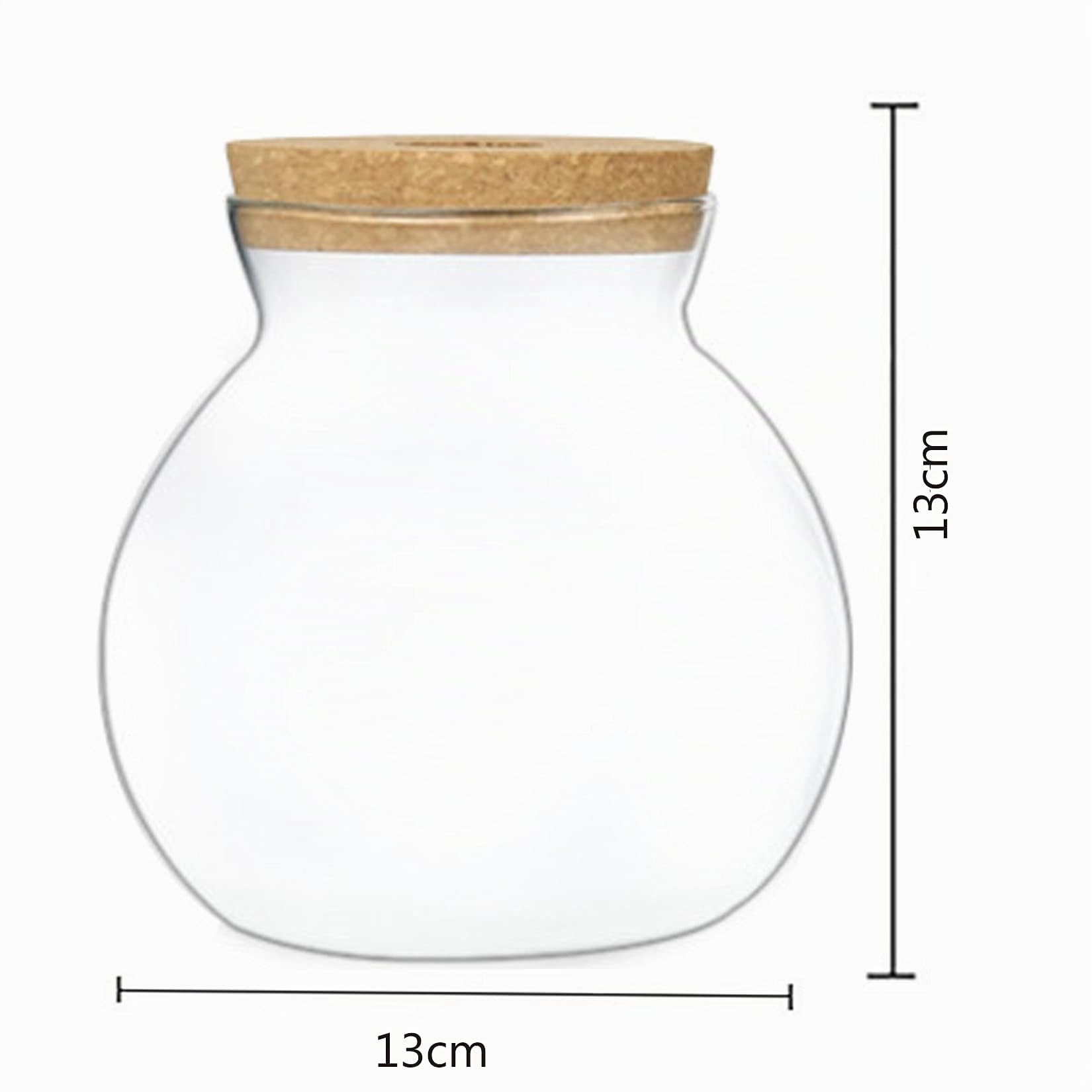 Mini vaso decorativo vetro – Idroponica – Vaso da fiori in vetro per matrimoni, feste, decorazione primaverile (rotondo 13 x 13 cm)