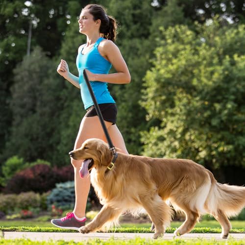 QWORK® Doppelleine, Anti-Zieh Hundeleine, 360° Drehung Reflektierend Trainingsleine, für Mittelgroße bis Große Hunde (Schwarz)