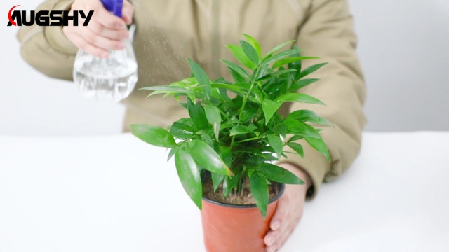 Mipcase Vassoi Per La Germinazione Dei Fiori 60 Pezzi Vasi Per Vivai Vasi Per Trapianto Per Piante