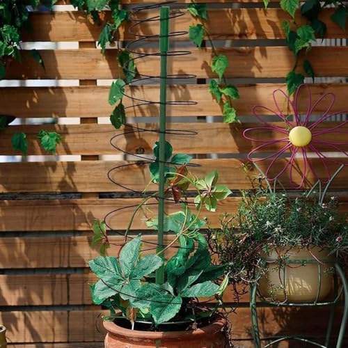 Para enredaderas y flores con este tutor en espiral de exterior 8
