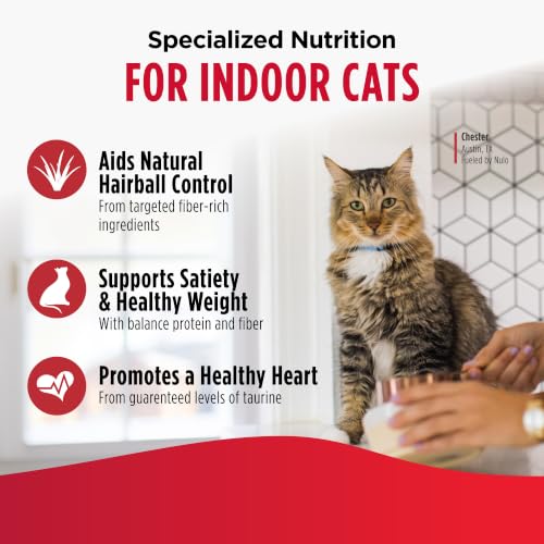 Image of Nulo FreeStyle Dry Cat Food Indoor - Duck & Cod, High Protein Grain-Free Dry Cat Food, Natural Kibble with Probiotics and Omegas Fatty Acids, 4lb Bag