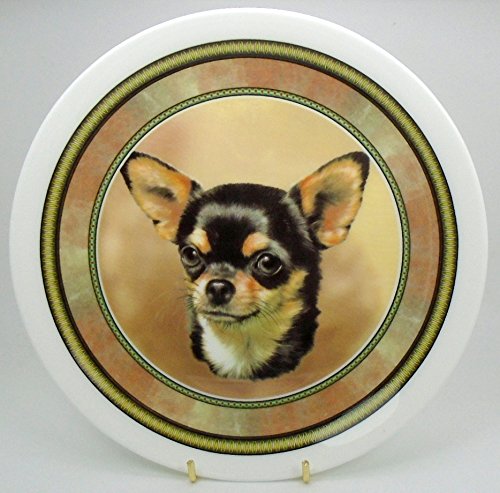 Chihuahua Fine Bone China Collectable 21cm Plate with a Plain Edge