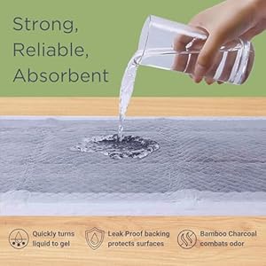   Eco-Friendly-Bamboo-Charcoal-Disposable-Pee-Pads-for-Dogs-Puppies-Natural-Maximum-Absorbency-Quick-Dry-Leak-Proof-Durable-Pads-Standard-50-Count