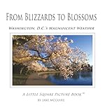 From Blizzards to Blossoms: Washington, D.C.'s Magnificent Weather