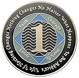 NA 1 Year Silver Color Plated-Medallion, Recovery Chip, 12 Step Token, Narcotics Anonymous Coin
