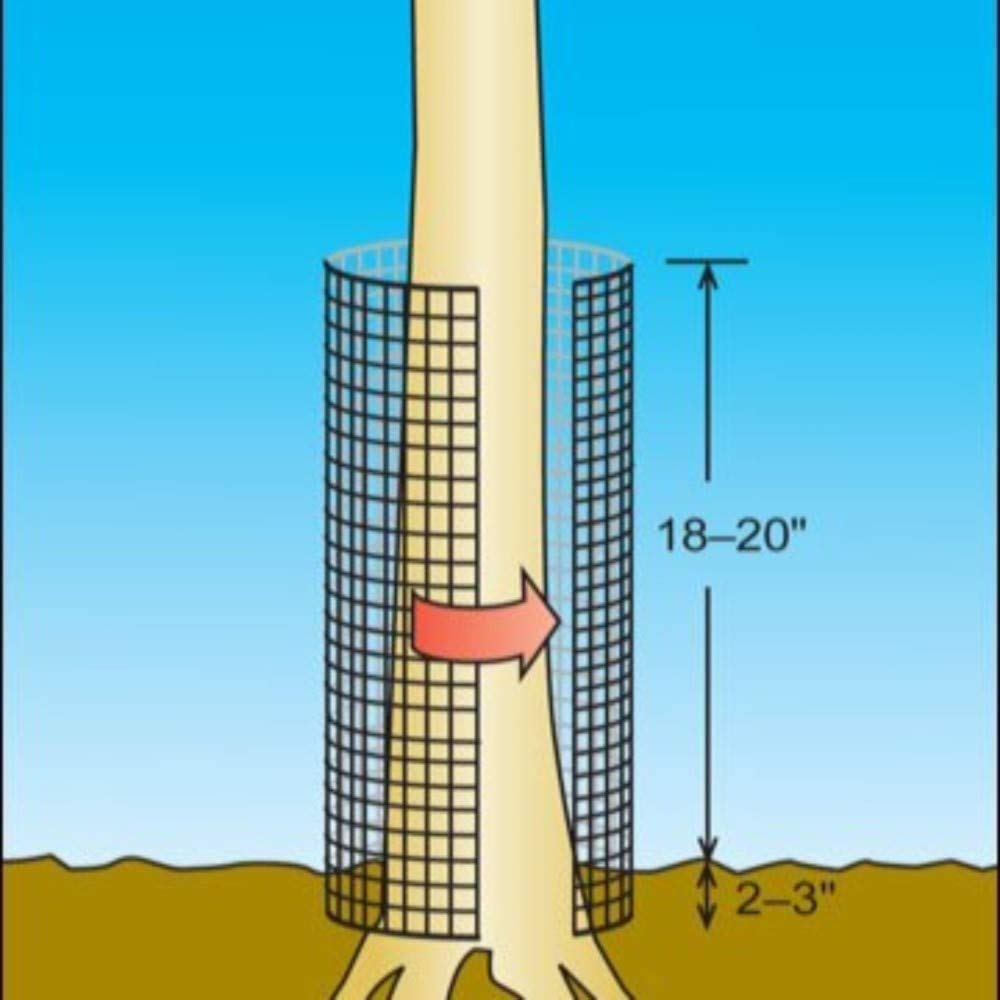 Amagabeli Hardware Cloth 48x50 1/2in Galvanized After Welding 19 Gauge